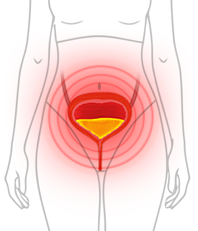 Ilustracja